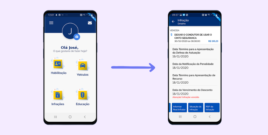 Multas de trânsito - Consulta